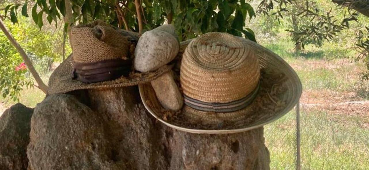 Apartmán Finca Limoneros Alora Exteriér fotografie